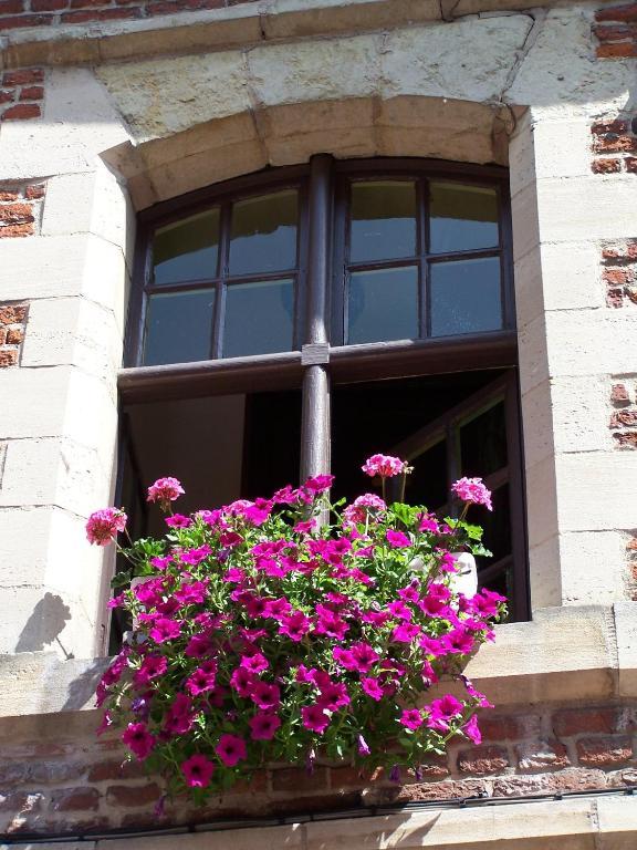 Auberge Du Bon Fermier วาลองเซียนส์ ภายนอก รูปภาพ